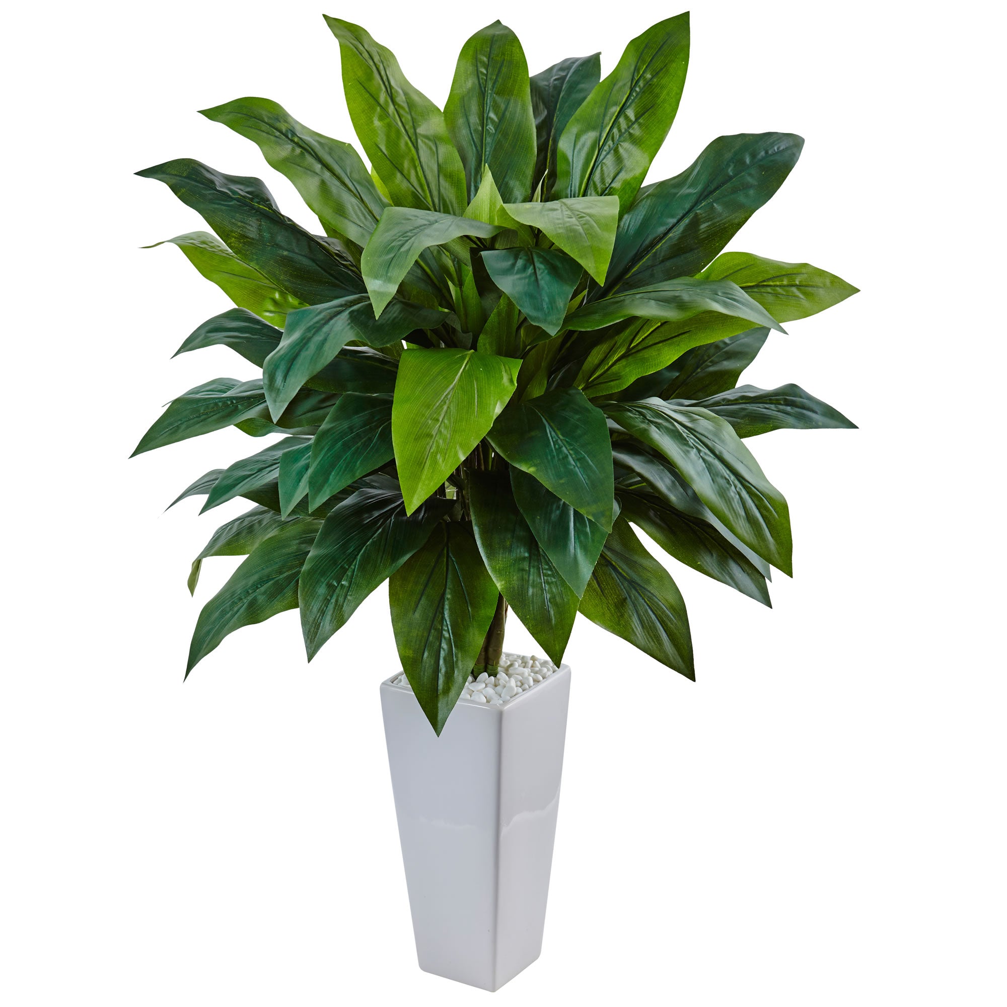 38" Cordyline in White Tower Planter