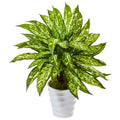 21" Aglaonema in Swirl Planter