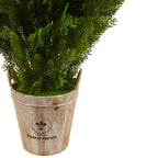 3' Cedar in Barrel Planter (Indoor/Outdoor)