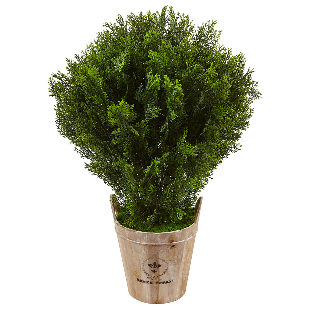 3' Cedar in Barrel Planter (Indoor/Outdoor)
