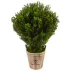 3' Cedar in Barrel Planter (Indoor/Outdoor)
