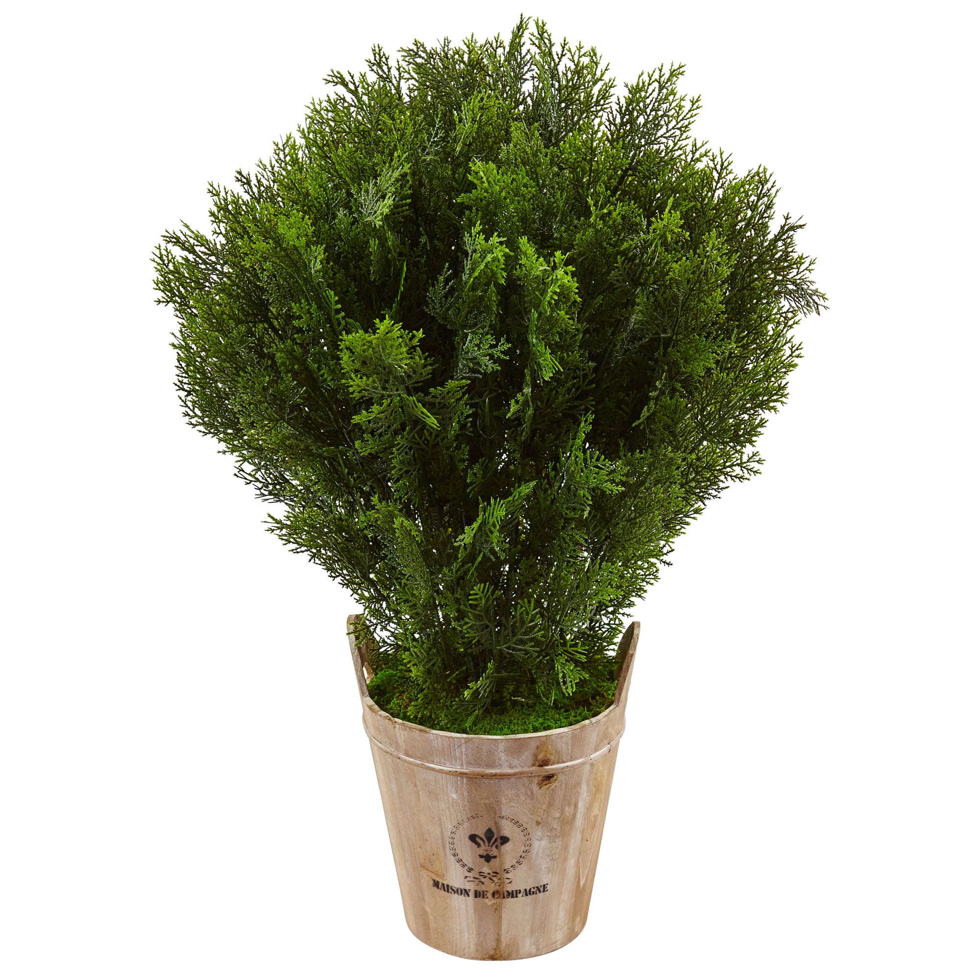3' Cedar in Barrel Planter (Indoor/Outdoor)
