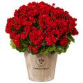 22" Geranium in Planter UV Resistant (Indoor/Outdoor) Red