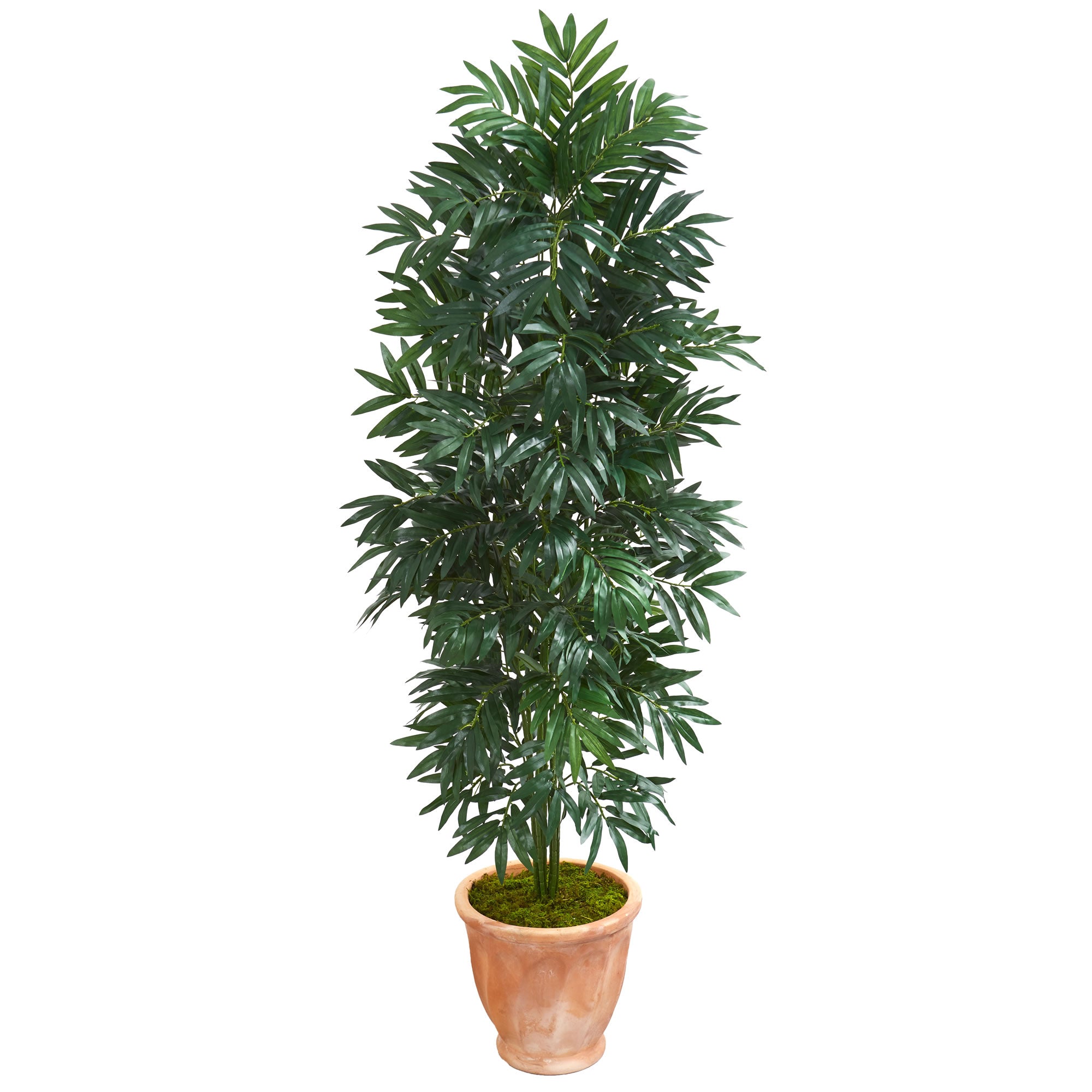 5' Bamboo Palm Artificial Plant in Terracotta Planter