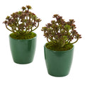 8" Sedum Artificial Plant in Green Planter (Set of 2)