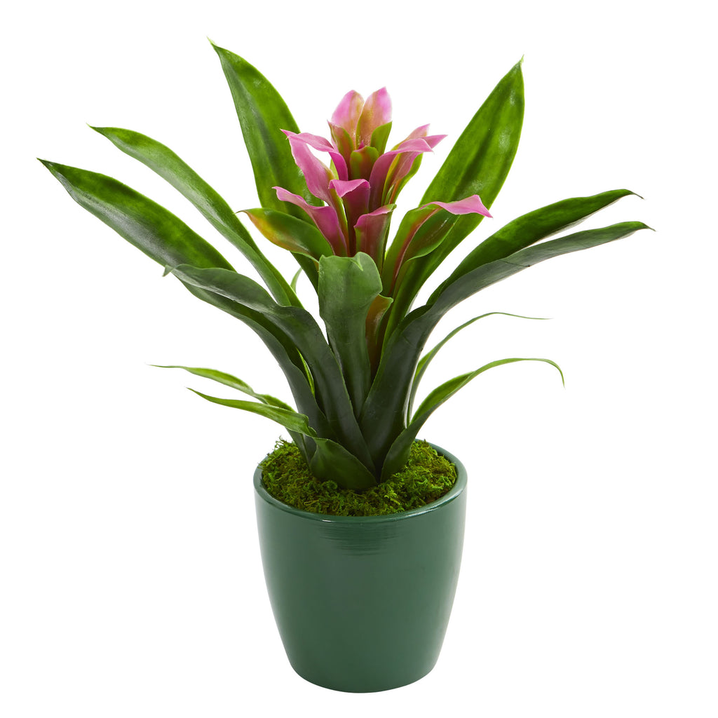 10" Bromeliad Artificial Plant in Green Planter (Set of 3)