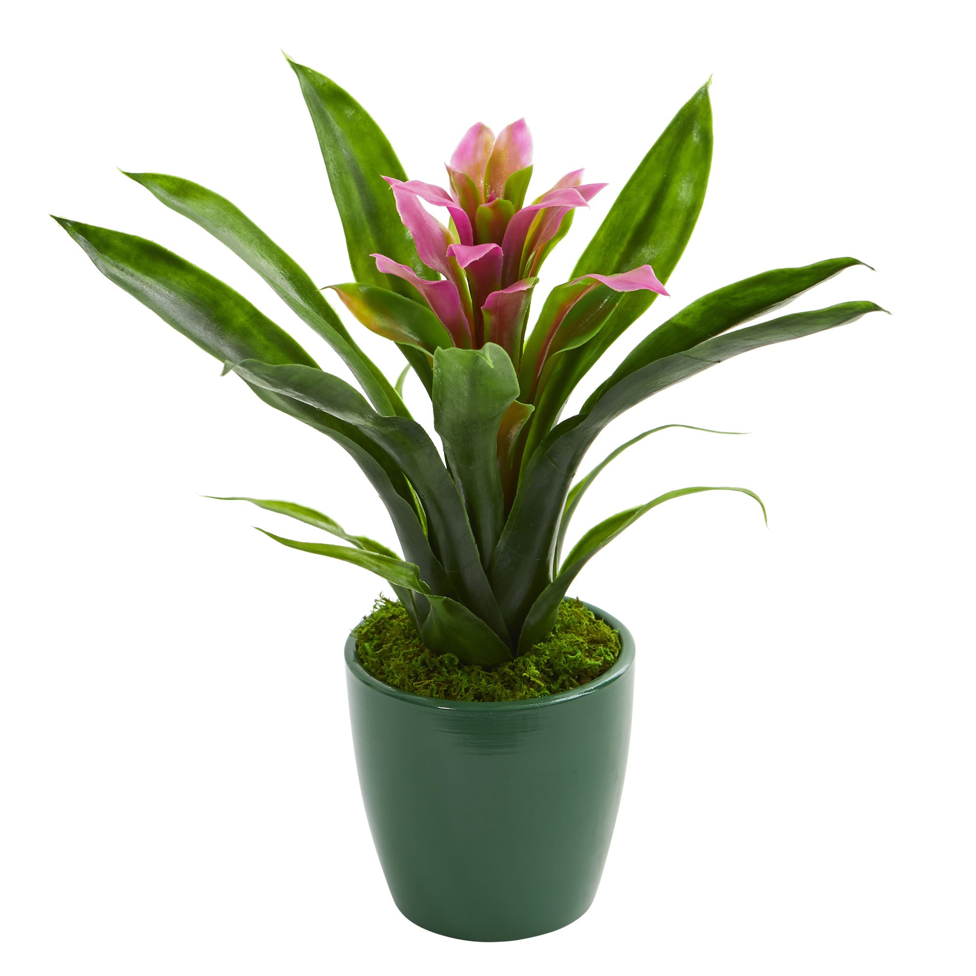 10" Bromeliad Artificial Plant in Green Planter (Set of 3)