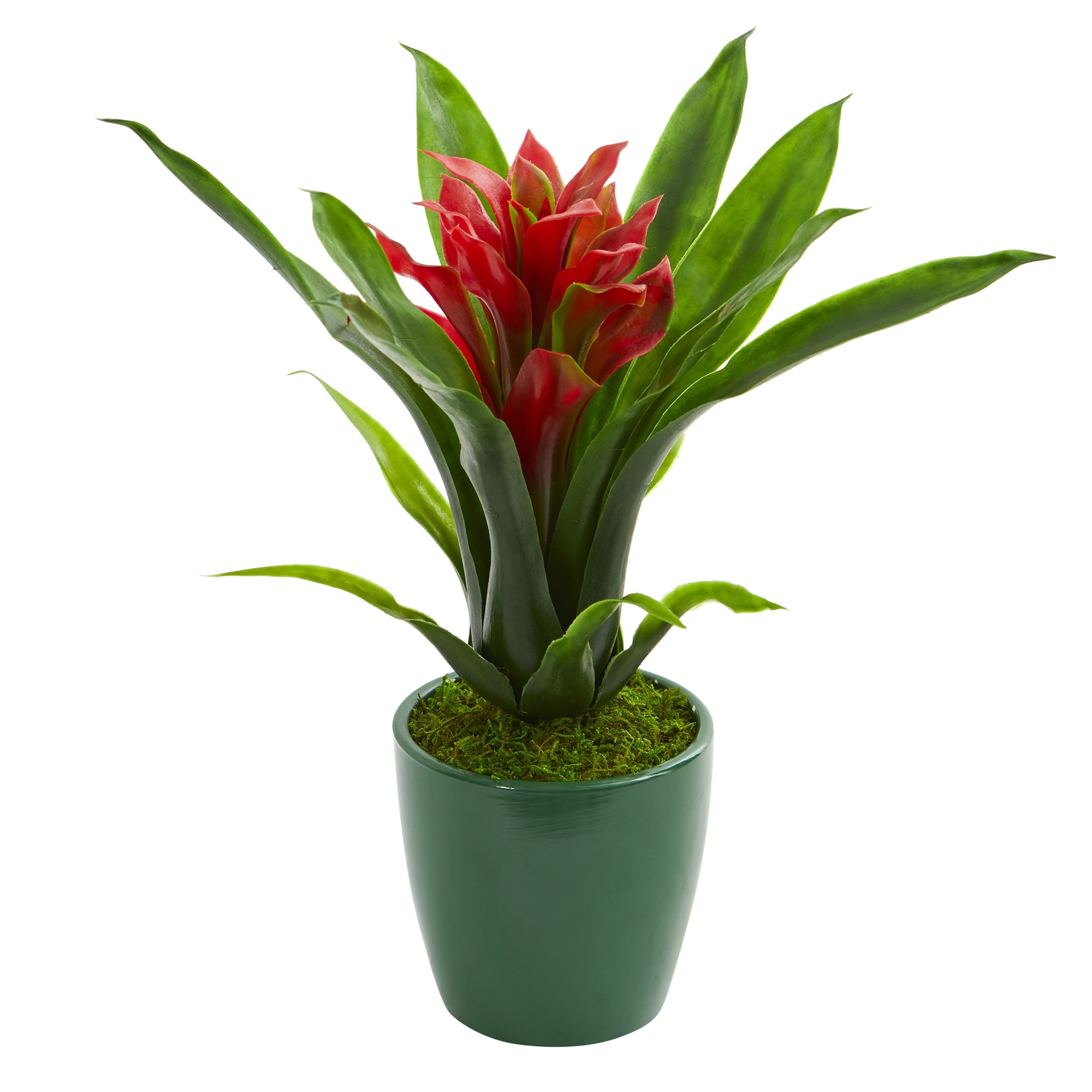 10" Bromeliad Artificial Plant in Green Planter (Set of 3)