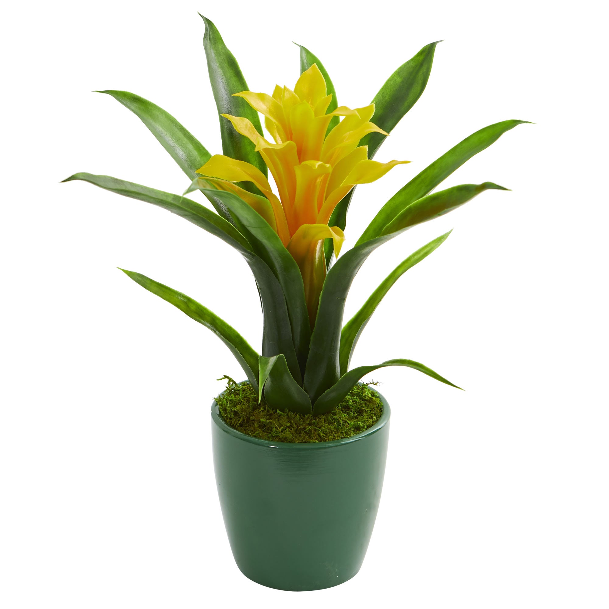 10" Bromeliad Artificial Plant in Green Planter (Set of 3)