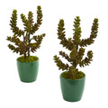 11" Succulent Artificial Plant in Green Planter (Set of 2)