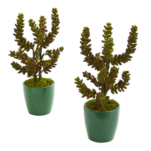 11" Succulent Artificial Plant in Green Planter (Set of 2)
