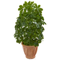 35" Baby Schefflera Artificial Plant in Planter (Real Touch)