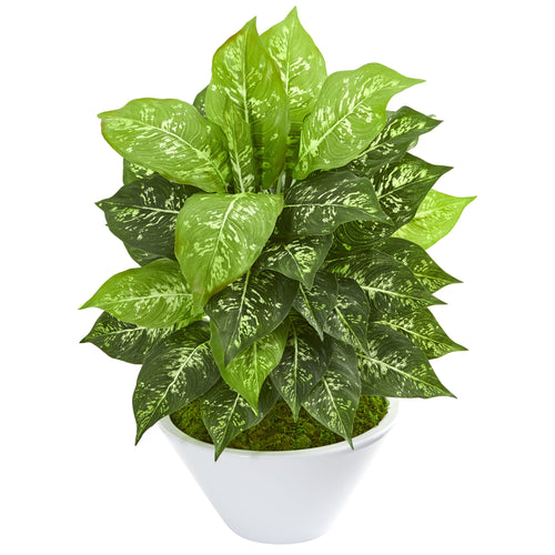 20" Dieffenbachia Artificial Plant in White Bowl