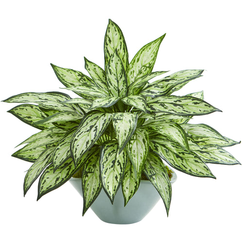 16" Silver Queen Artificial Plant in Green Vase