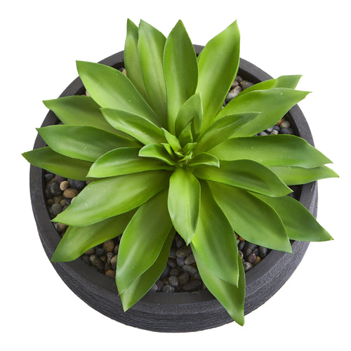 10" Large Succulent Artificial Plant in Decorative Bowl