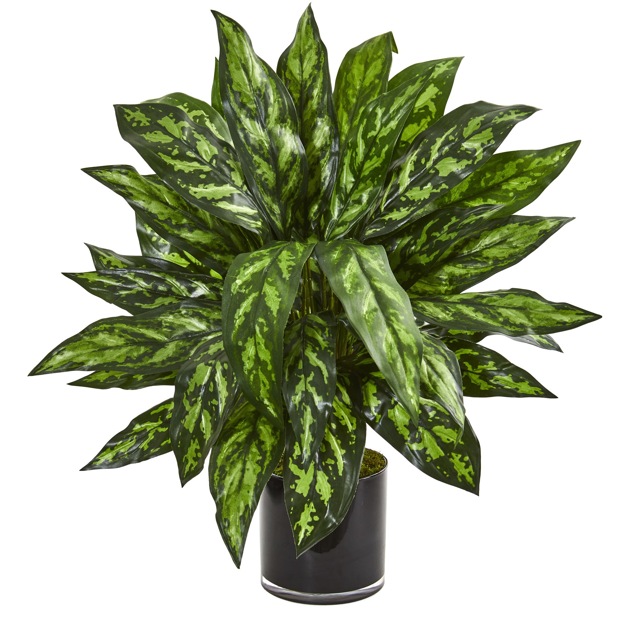 27" Silver King Artificial Plant in Black Glass Vase