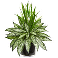 20" Silver Queen and Grass Artificial Plant in Black Vase