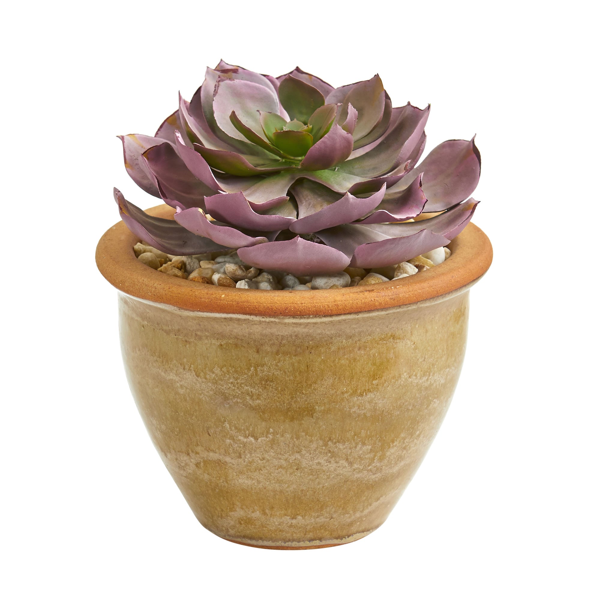 10" Large Succulent Plant in Ceramic Vase (Set of 2)