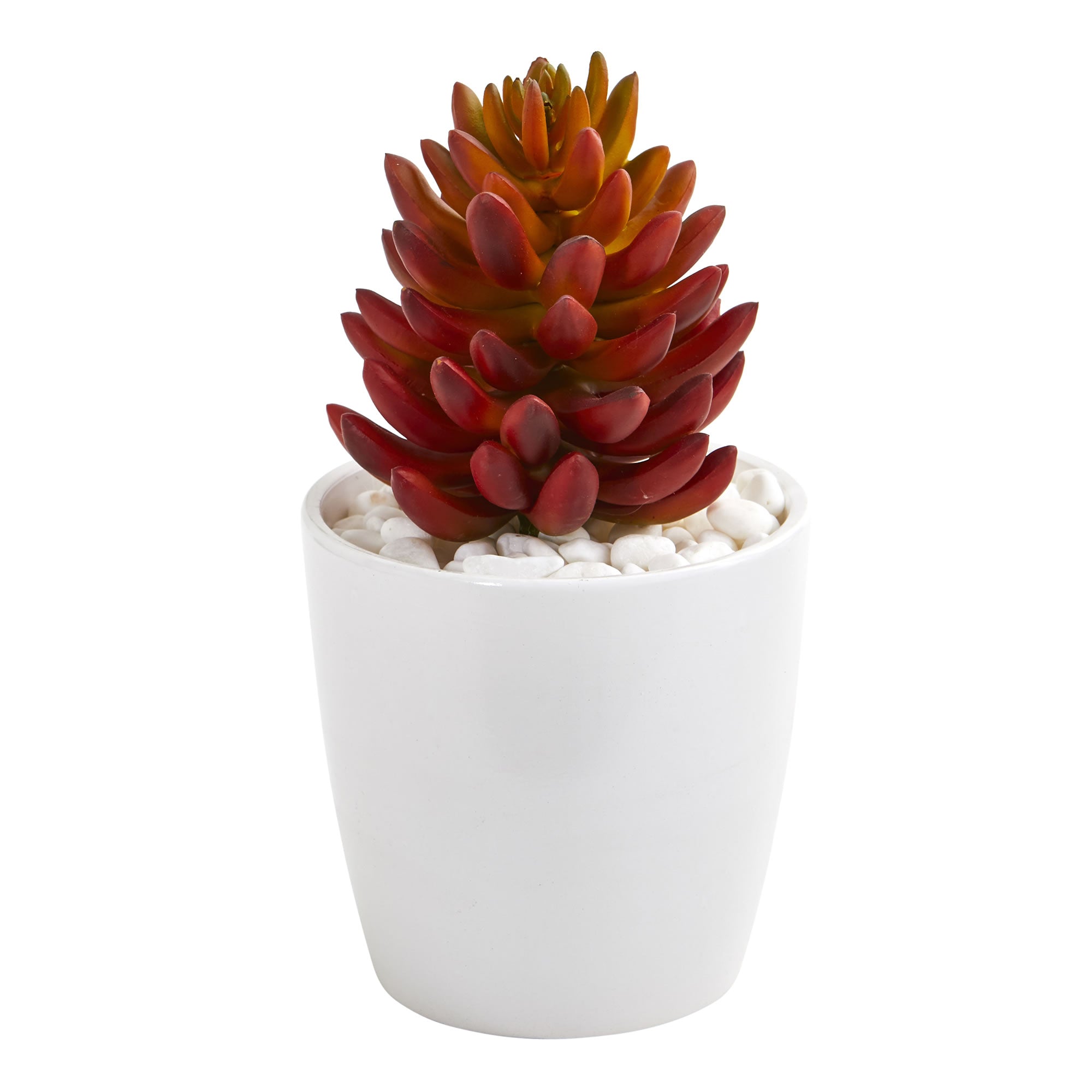 10" Mixed Succulent Plant in White Vase (Set of 3)