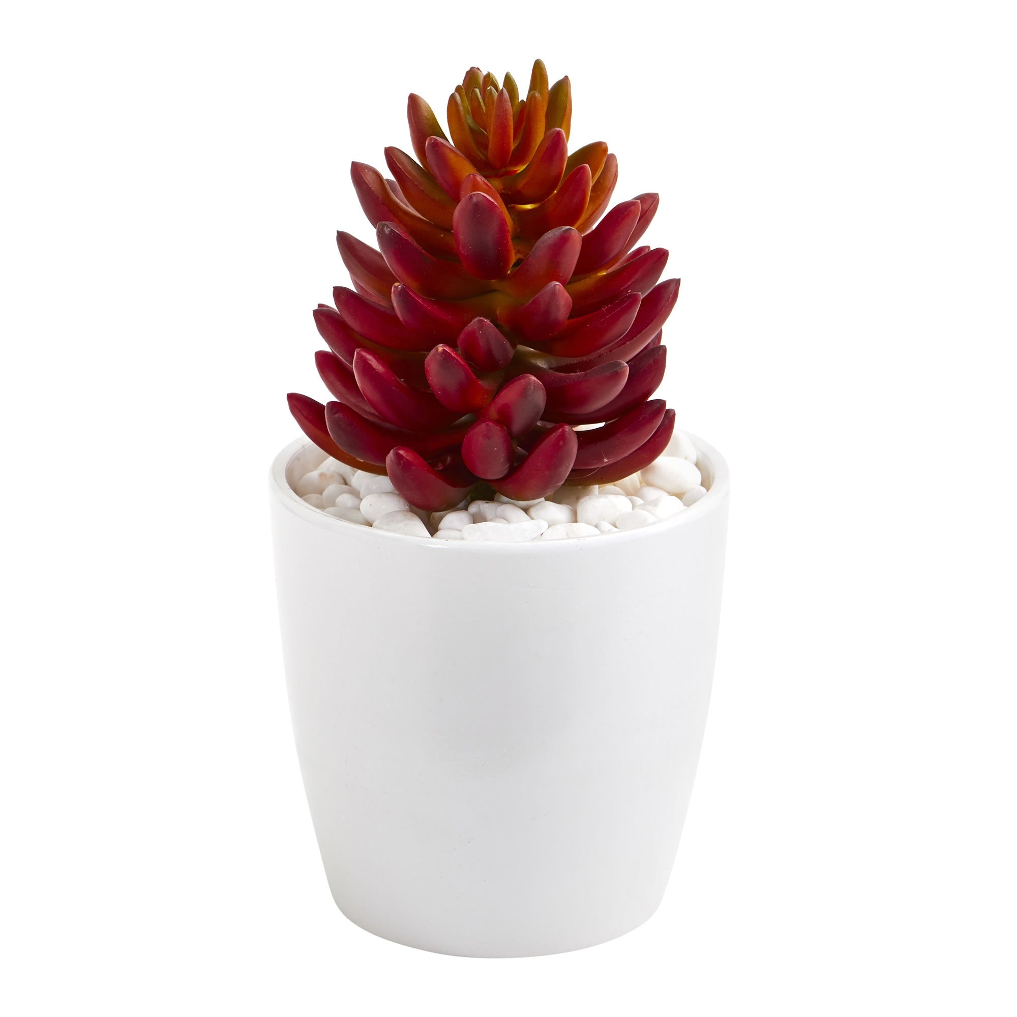 10" Mixed Succulent Plant in White Vase (Set of 3)