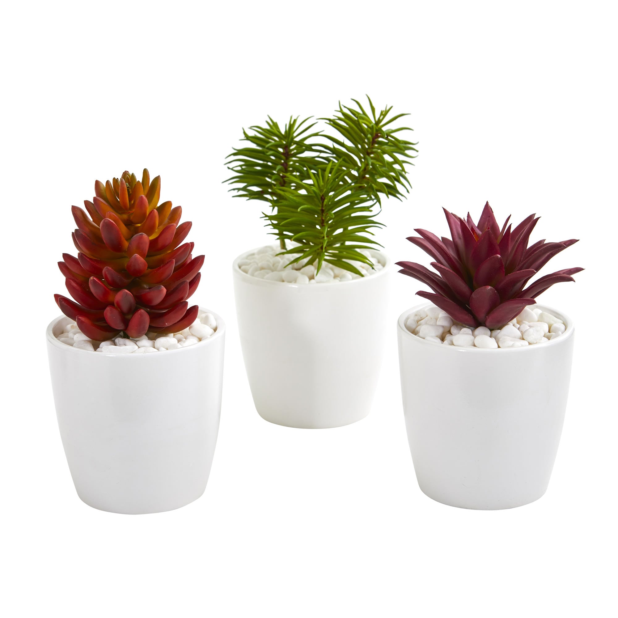 10" Mixed Succulent Plant in White Vase (Set of 3)