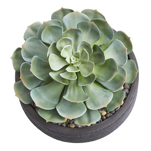 10" Giant Echeveria Succulent Artificial Plant
