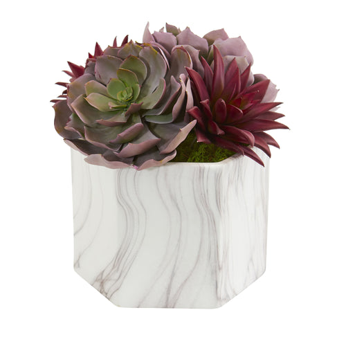 10" Echeveria and Spike Agave Succulent Plant in Marble Vase