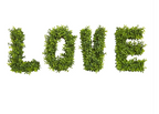 "LOVE" Boxwood Artificial Wall Decoration (Indoor/Outdoor)